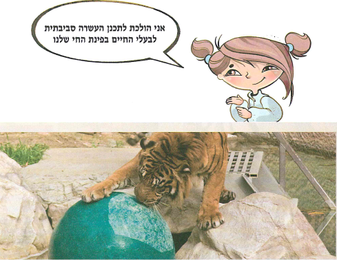 (בספר תמונה, היעזר במנחה - מצב מצוי)